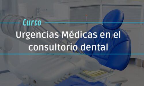 miniatura del curso